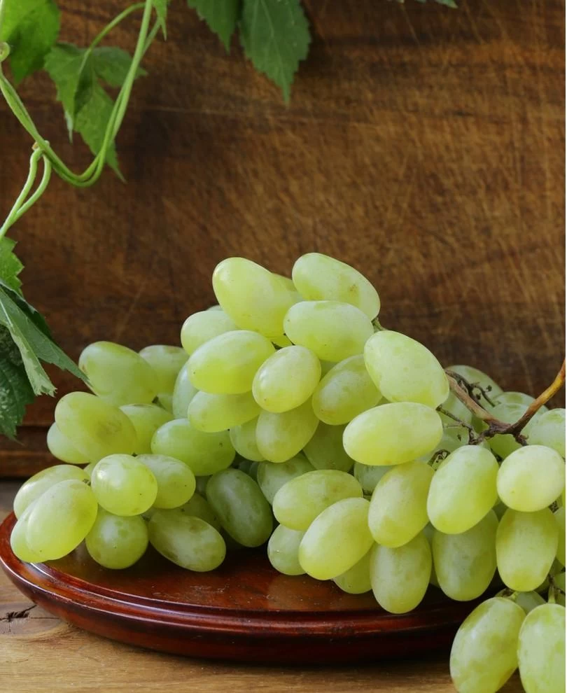 Gratitude Seedless Grape