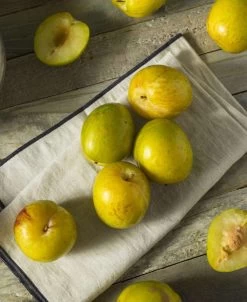 Flavor Grenade Pluot